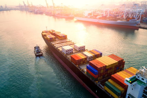 5大区块链项目重塑供应链管理 透明、高效与信任的新范式