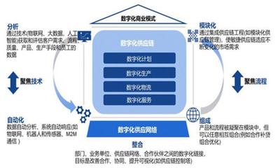 数字化供应链赋能餐饮连锁 探索《食品与餐饮连锁企业数字化增长指引参考》的核心价值