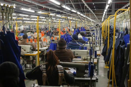 越南疫情扰动下的供应链挑战与应对